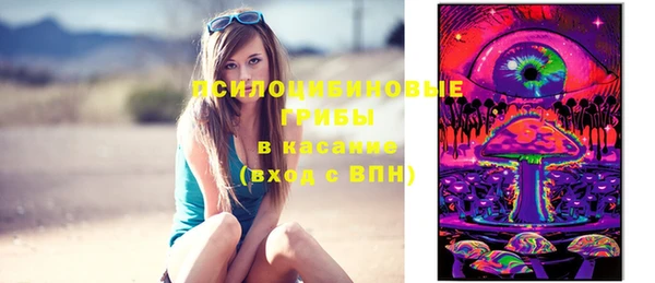 стафф Нефтегорск