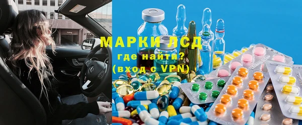 стафф Нефтегорск