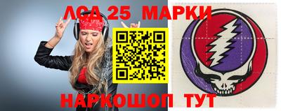 гидропоника Будённовск