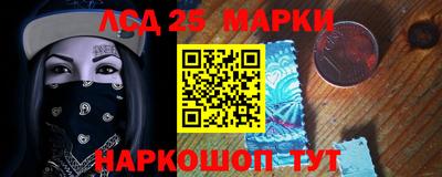 гидропоника Будённовск