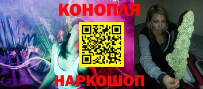 гидропоника Будённовск