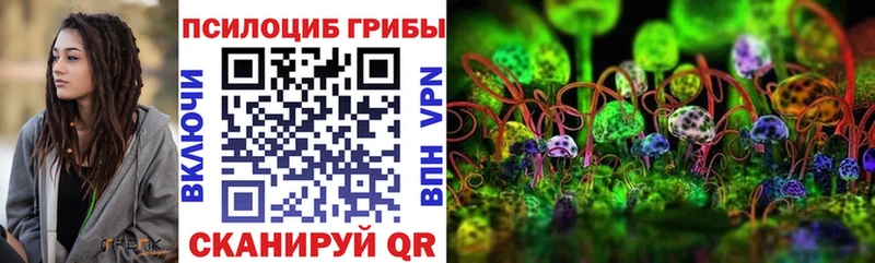 закладка  Новокузнецк  Галлюциногенные грибы GOLDEN TEACHER 