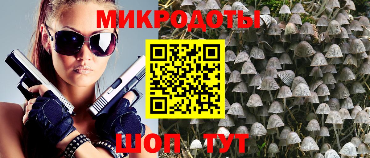 Галлюциногенные грибы Psilocybine cubensis  сколько стоит  Новокузнецк  Псилоцибиновые грибы ЛСД 