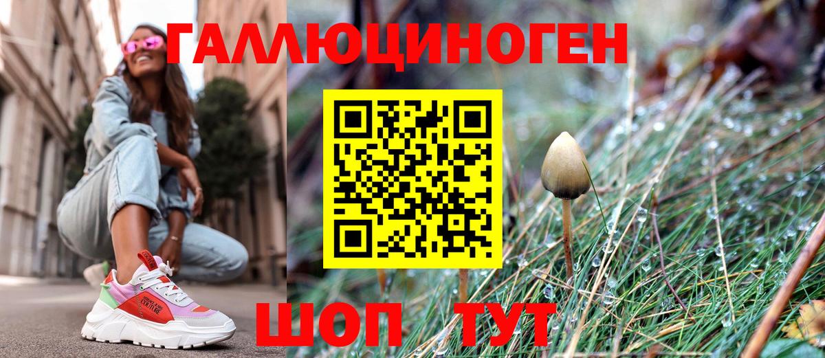 Псилоцибиновые грибы мицелий  Галлюциногенные грибы GOLDEN TEACHER  Вход с VPN  Новокузнецк 