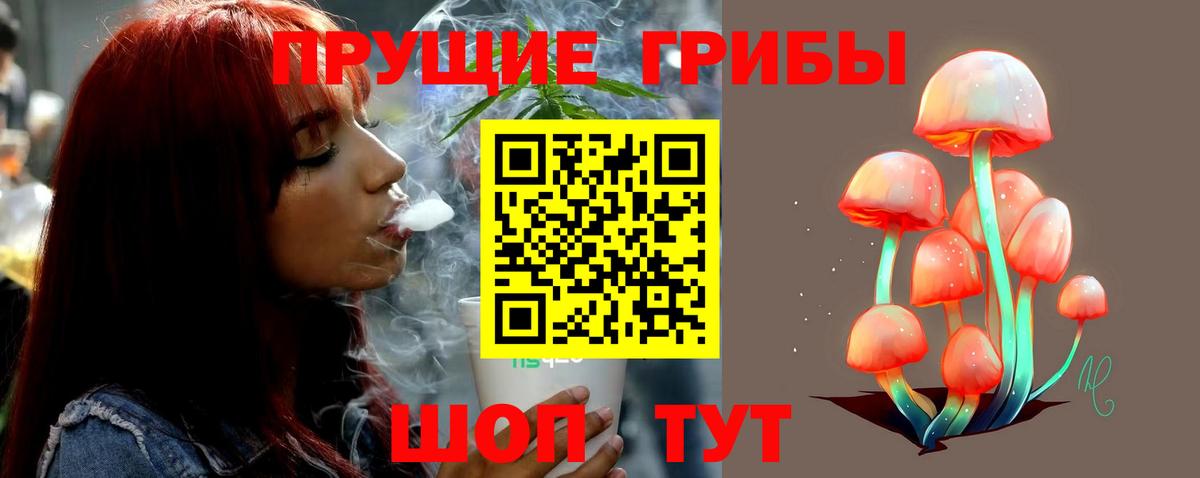 Псилоцибиновые грибы мицелий Новокузнецк