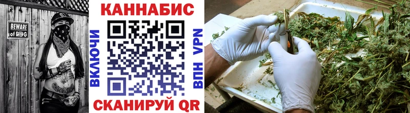 Конопля гибрид  Новокузнецк 