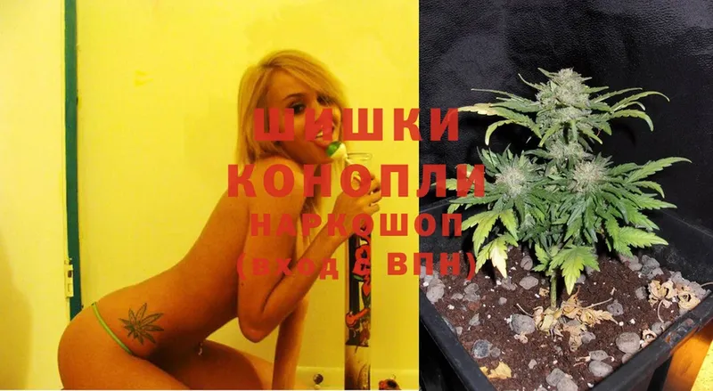 Бошки марихуана SATIVA & INDICA  Новокузнецк 